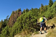 17 Tra abeti,  larici e pini mughi
